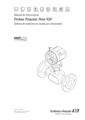 Endress+Hauser Proline Prosonic Flow 92F Manual De Instrucciones