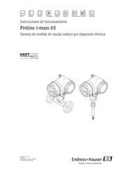 Endress+Hauser Proline t-mass 65 Instrucciones De Funcionamiento