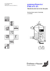 Endress+Hauser FMG 671 P Instrucciones Para El Montaje Y Servicio