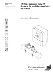 Endress+Hauser PROline prosonic flow 90 Instrucciones De Funcionamiento