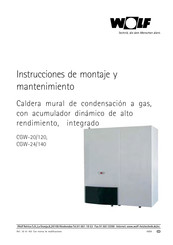 Wolf CGW-24/140 Instrucciones De Montaje Y Mantenimiento