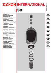 HYDAC International SB Serie Instrucciones De Montaje Y Reparación