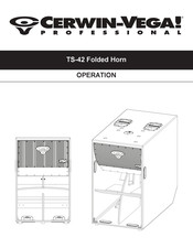 Cerwin-Vega TS-42 Manual Del Usario