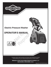 Briggs & Stratton Brute PW101-2010 Manual Del Operador