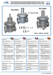 Boldrin Group RG/2MCS Instrucciones De Instalación