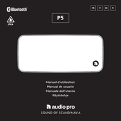 Audio Pro P5 Manual De Usuario