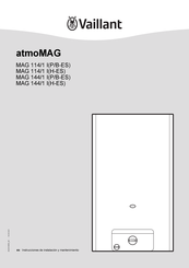 Vaillant MAG 114/1 B Instrucciones De Instalación Y Mantenimiento