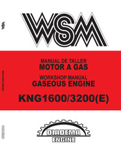 WSM KNG3200E Manual De Taller