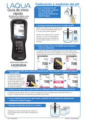 horiba LAQUA WQ-300 Serie Guia De Inicio Rapido