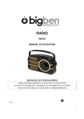 Bigben Interactive TR101 Manual De Instrucciones