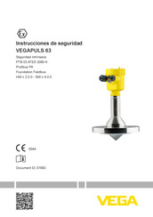 Vega VEGAPULS PS63 Serie Instrucciones De Seguridad