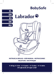 BabySafe Labrador Manual De Instrucciones