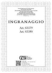 Gessi INGRANAGGIO 63580 Manual De Instrucciones