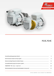 Bühler technologies P2.4C Guía Rápida