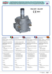 Madas RG/2MT Serie Guia De Inicio Rapido