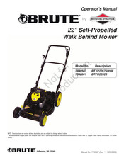 Briggs & Stratton BTXP226750HW Manual Para El Operador