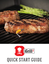 Weber-Stephen Products iGrill2 Guia De Inicio Rapido