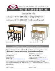 Victory Land Group BH11-084-002-15 Instrucciones De Asamblea