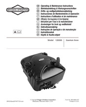 Briggs & Stratton Quantum Snow Instrucciones De Mantenimiento & Operación