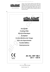 EFBE-SCHOTT EKP 100.1 Manual De Instrucciones