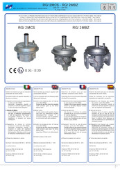 BMR RG/ 2MCS Manual Del Usuario