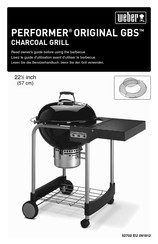 Weber PERFORMER ORIGINAL GBS Manual De Instrucciones