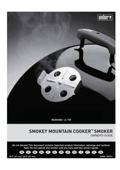 Weber Smokey Mountain Cooker 14