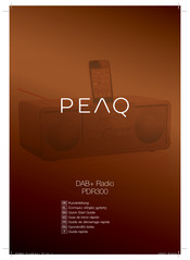 Peaq PDR300 Guia De Inicio Rapido